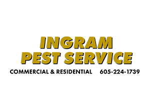 Ingram logo